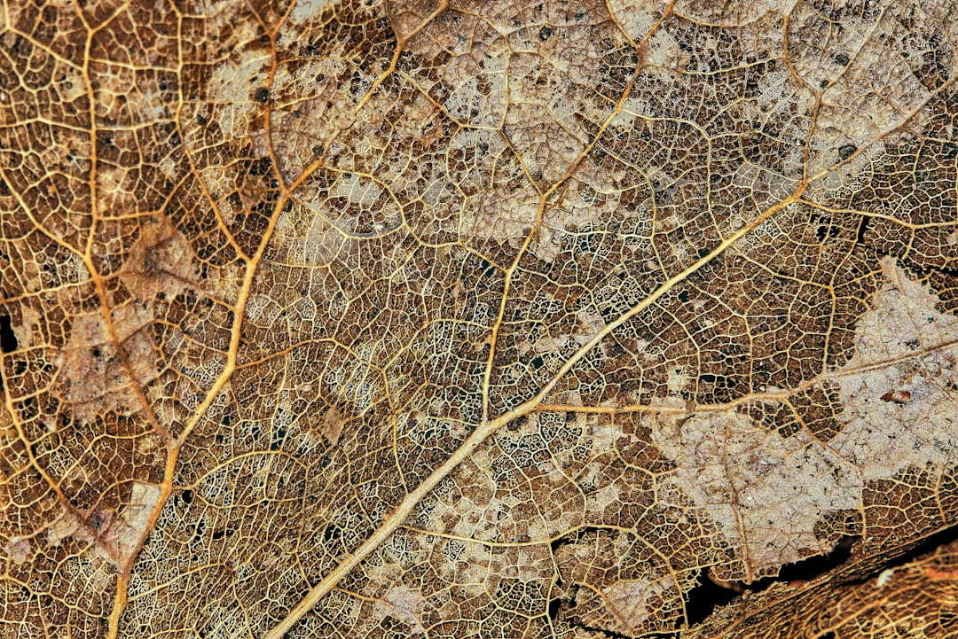 Tecnología espacial en España